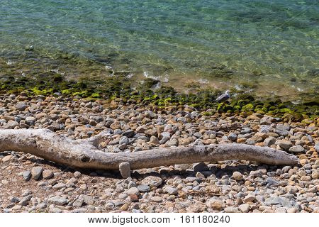 By the water's edge - Driftwood washed up on the shore by the coast in Ajaccio in Corsica
