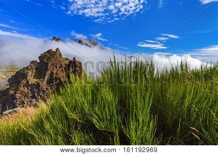 Hiking Pico do Arierio and Pico Ruivo - Madeira Portugal - travel background