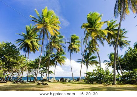 Punto di Granby, Tobago