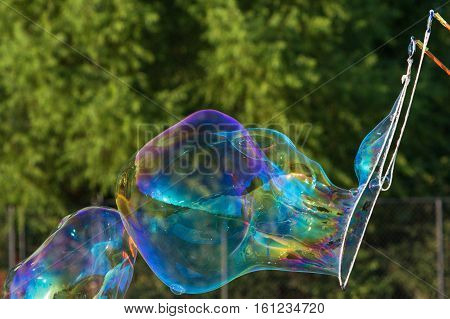 Large Bubbles Form From Soapy Bubble Wand
