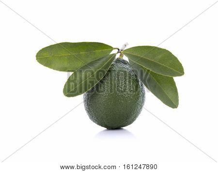 lemon with green leafs on white background
