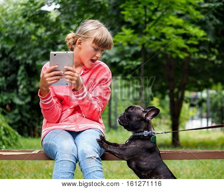 Dog pesters girl on a Park bench. Teen girl with tablet. Fear emotions