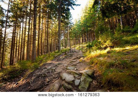 Beautiful Autumn Beskidy Mountains Landscape