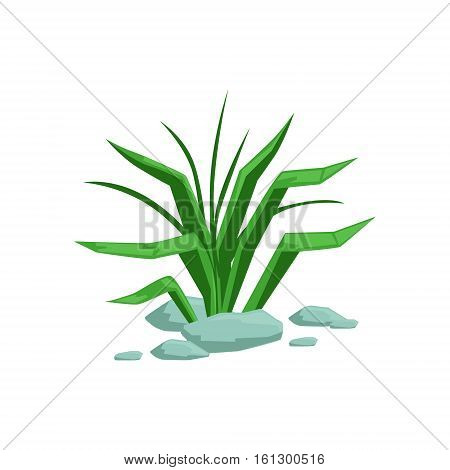 Growing Grass Natural Landscape Design Element, Part Of Scenery In Nature Landscaping Constructor. Detailed Cartoon Vector Objects For Land Surface Constructing.