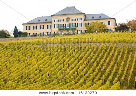 Pěší hrad s vinicí, Hesensko, Německo