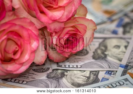 koral roses with us dollars as background