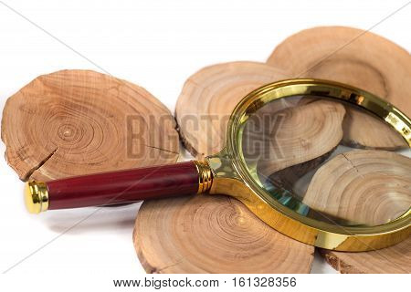 Concept dendrochronology. tree trunks clearly visible annual rings, magnifier with handle on white background