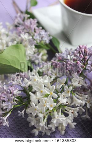 Lilac. Purple and white Lilac. Bouquet of purple and white lilacs. Beautiful flowers of lilac - close up. A cup of coffee. Toned Photo