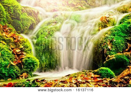 Wasserfall im Wald, Herbst
