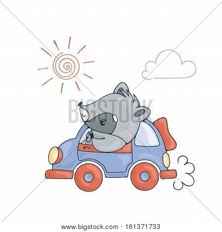 Illustration with a cheerful racoon in car. Vector image.