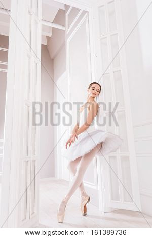 Ballet position. Delighted serious classical dancer wearing white leotard with tutu standing in points on tiptoes while posing at camera