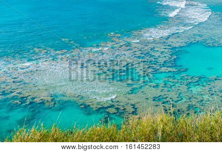 Snorkeling Bay Hanauma Bay in Oahu Hawaii