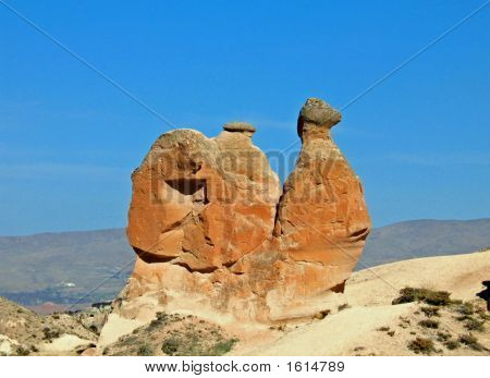 Camelrock0001