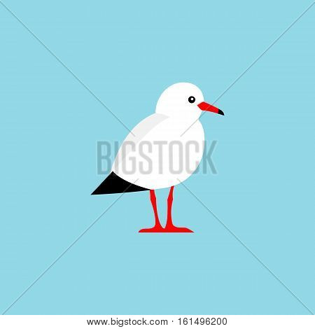 Vector bird isolated on a blue background. Colorful seagull bird vector illustration.