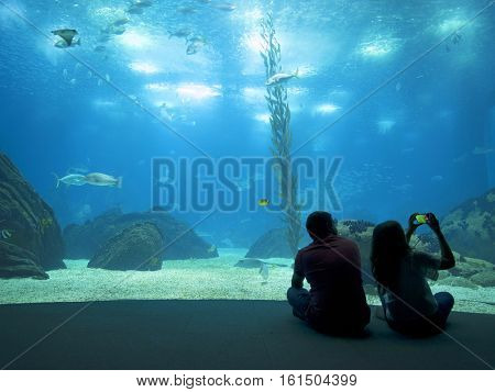 LISBON, PORTUGAL - November 12 2016: Interior view of the Lisbon Oceanario, Portugal, Europe