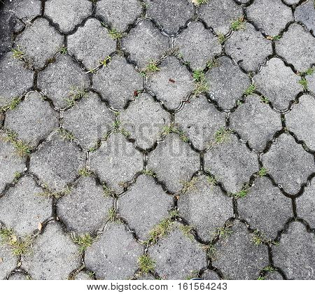 Hexagonal pattern textured interlocking grey pavement tile / stones with tiny grass in between