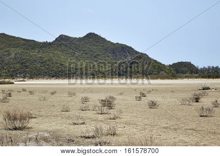 Desert With Mountains