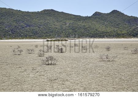 Desert With Mountains