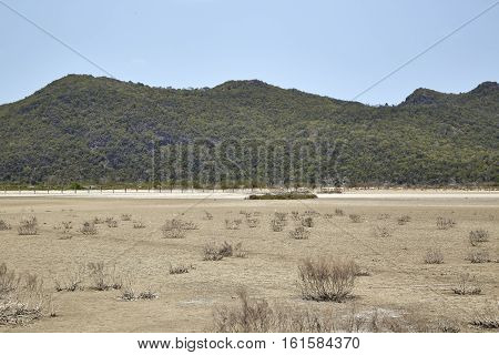 Desert With Mountains