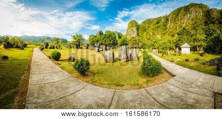 Beautiful Large Garden