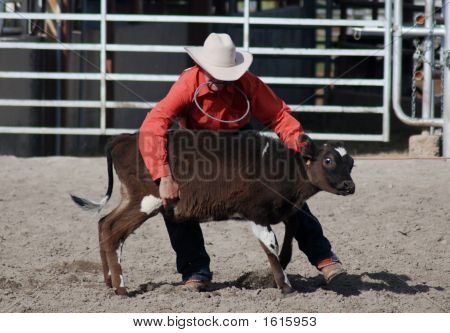 Holding Kalb