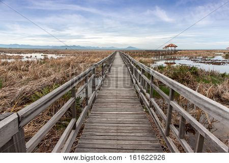 wooden bridge stretches across the dry grasslands and the flooding at Khao Sam Roi Yot National Park Thailand