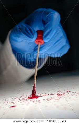 Forensic technician taking DNA sample from blood stain with cotton swab on murder crime scene