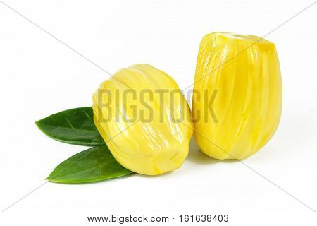 jackfruit and seed isolated on white background