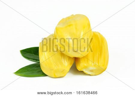 jackfruit and seed isolated on white background
