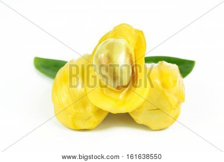 jackfruit and seed isolated on white background