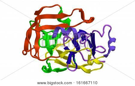 Molecular structure of digestive protein trypsin 3D rendering