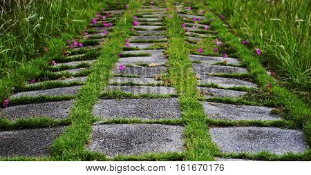 my a walkway and happy  former.I miss you.