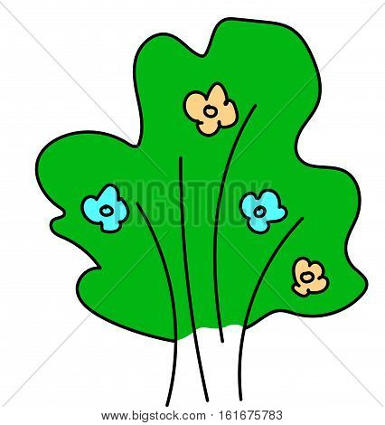 Green flowering bush on a white background.