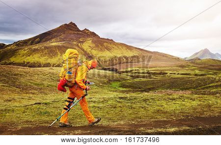hiker with backpack on the trail in the mountains. Treking in Iceland. hiker looking at the phone.