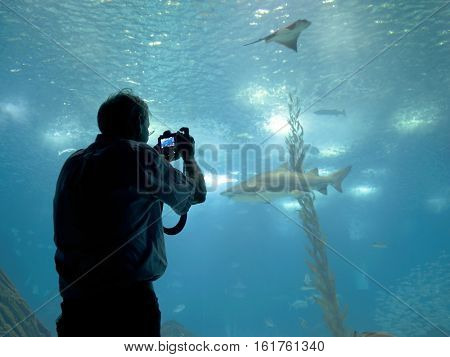 LISBON, PORTUGAL - November 12 2016: Interior view of the Lisbon Oceanario, Portugal, Europe