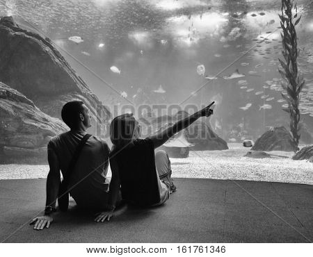 LISBON, PORTUGAL - November 12 2016: Interior view of the Lisbon Oceanario, Portugal, Europe