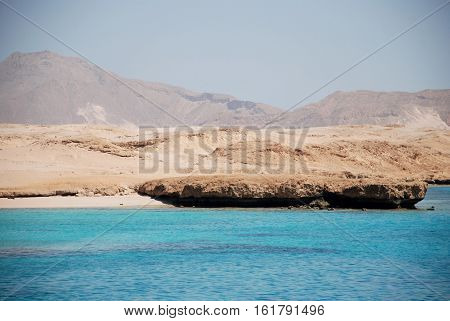 Egypt. Island the Tyrant. Red sea.Charm-ale-sheikh.marine Paar