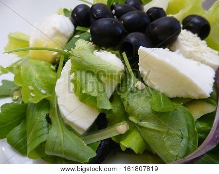 Green Salad With Mozzarella Cheese And Olives