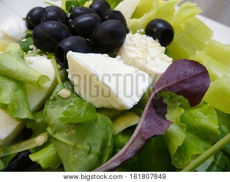 Green Salad With Mozzarella Cheese And Olives