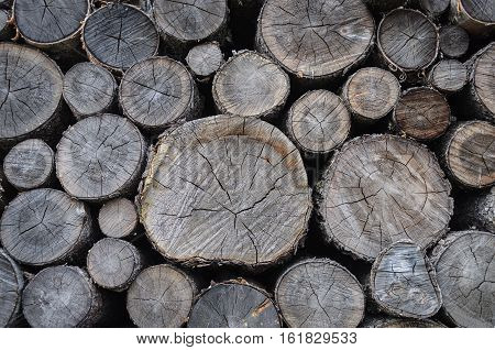 Background of stack of old dry birch firewood chocks