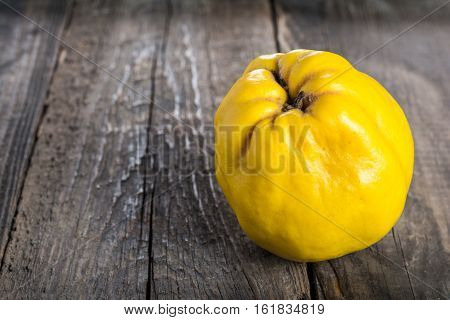 Quince fruit. Salubrious ripe yellow quince fruit