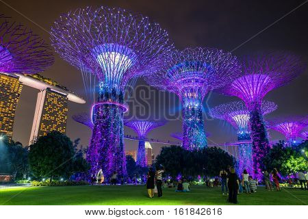 Singapore - October 23 2016: Colorful of lighting show in Singapore Cityscape on twilight scene. Lighting illuminated Supertree Grove at Gardens by the Bay in Singapore.