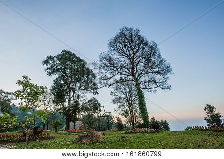 Beautiful Monlan Mountain a hilltop at an altitude of about 1696 meters generally have an abundance of. Although some areas are used in agriculture for some time at Sri Lanna National Park Chiangmai