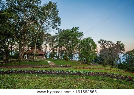 Beautiful Monlan Mountain a hilltop at an altitude of about 1696 meters generally have an abundance of. Although some areas are used in agriculture for some time at Sri Lanna National Park Chiangmai