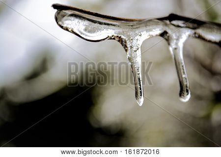 Crystal clear frozen rain on a cloudy and winters day.