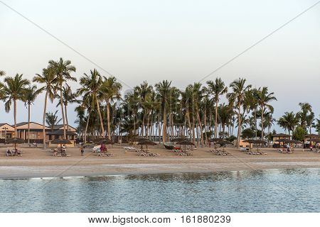 Sun lounger between palms at tropical beach oman salalah souly bay 29