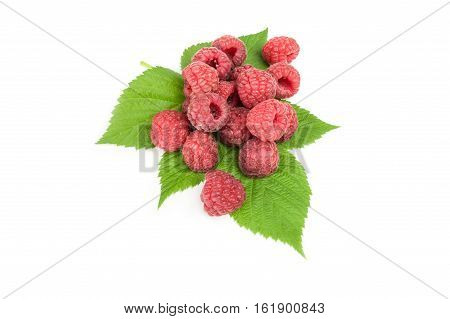 Raspberry Fruit isolated on a white background cutout