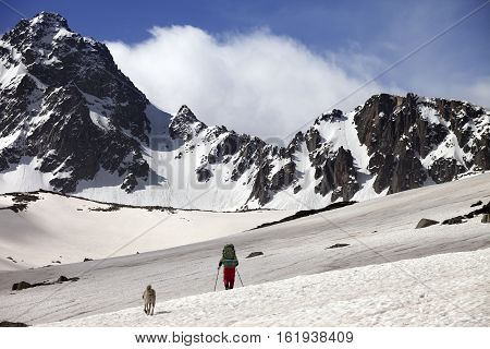 Hiker with dog at spring snow mountains. Turkey Kachkar Mountains highest part of Pontic Mountains.