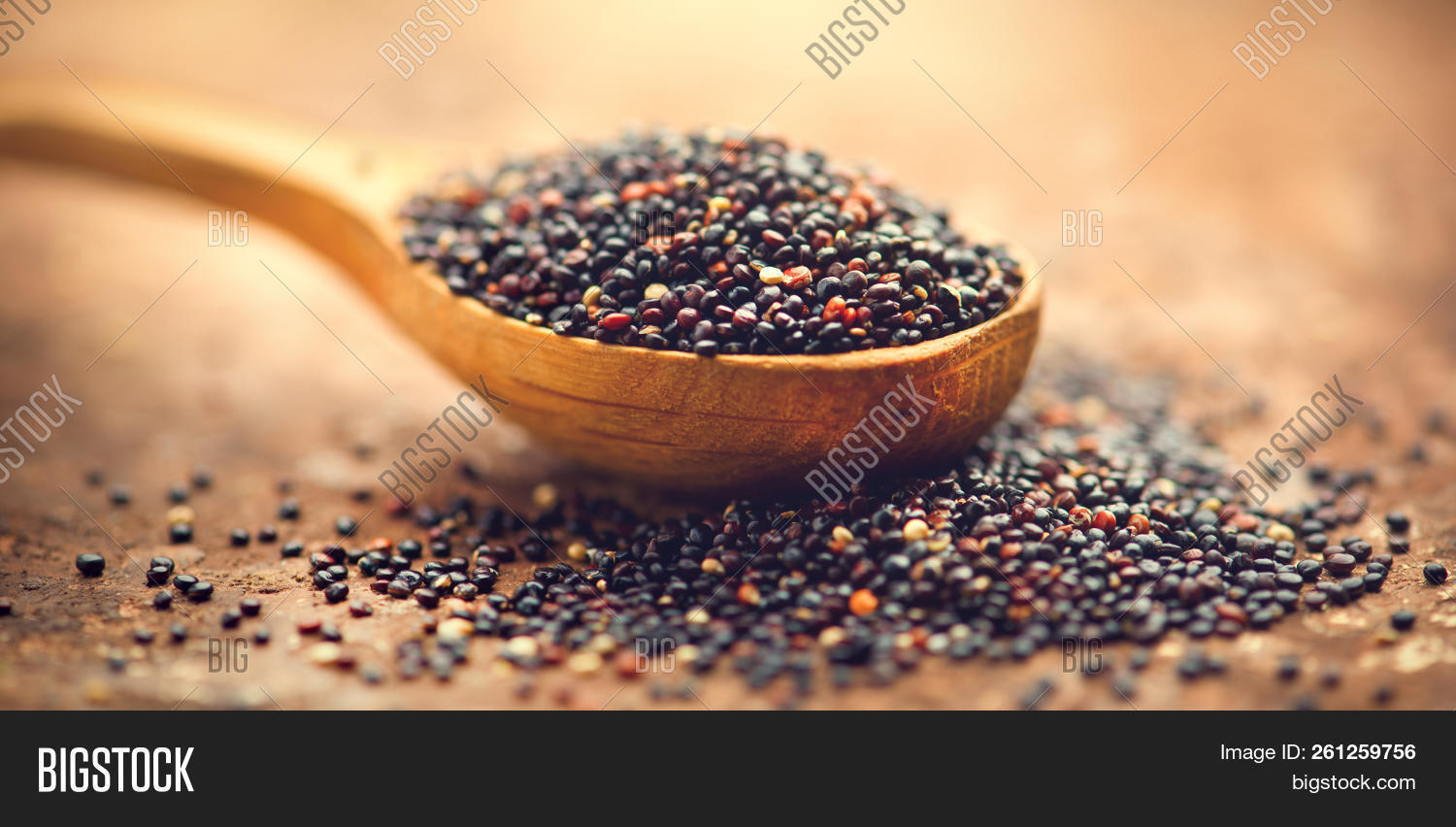 Quinoa Black Grains Image & Photo (Free Trial) Bigstock
