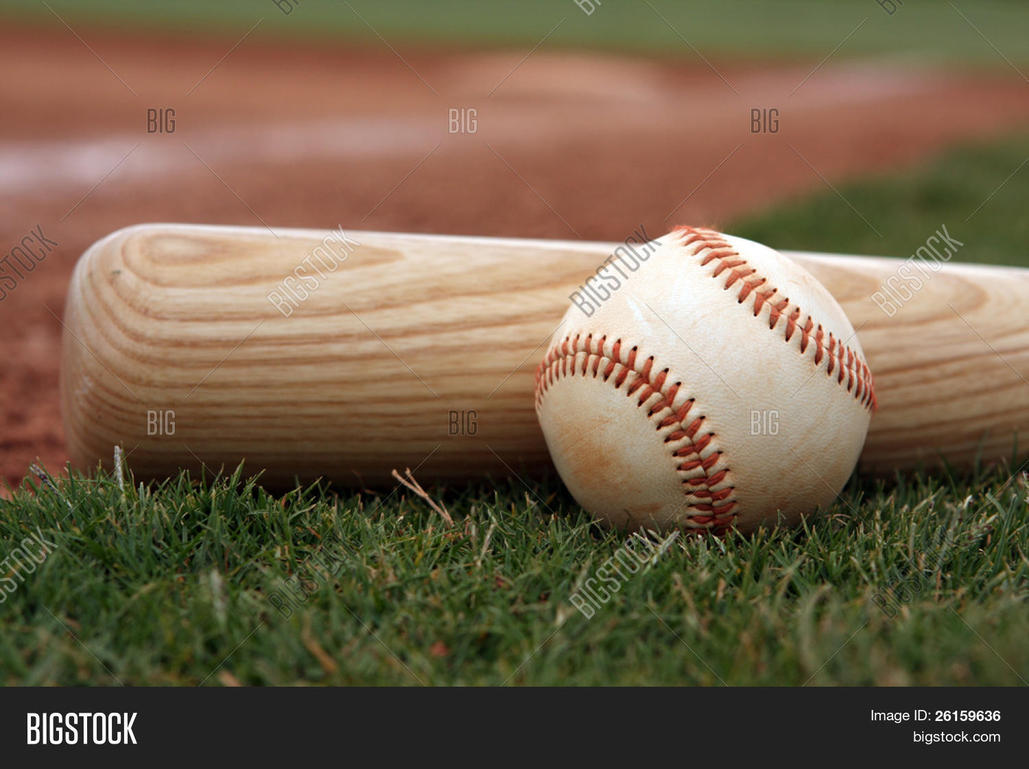 Baseball Bat Image & Photo (Free Trial) Bigstock
